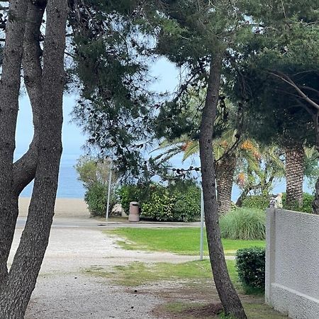 Grand F3 Vue Mer Centre Plage Proche Commerces Plage dʼArgelès Eksteriør billede