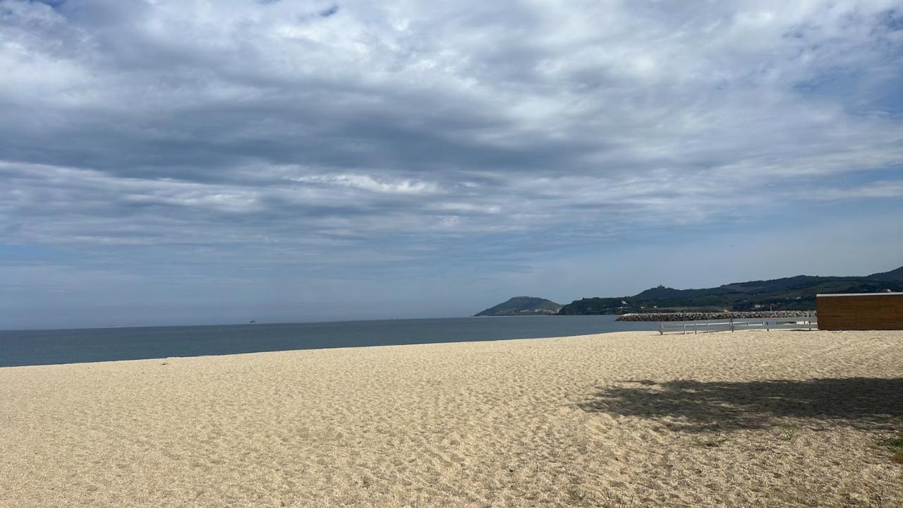 Grand F3 Vue Mer Centre Plage Proche Commerces Plage dʼArgelès Eksteriør billede