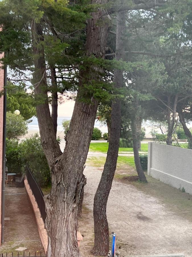 Grand F3 Vue Mer Centre Plage Proche Commerces Plage dʼArgelès Eksteriør billede